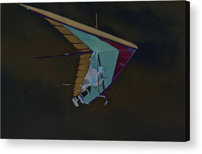 Beach Acrylic Print featuring the photograph Hang Glider Infused by SC Heffner