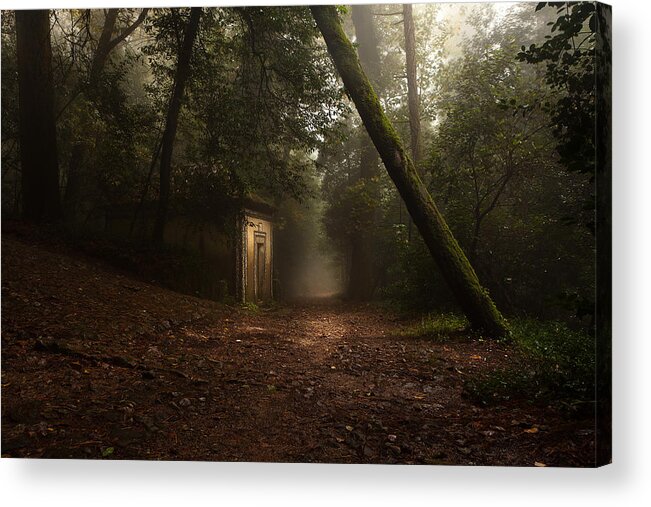 Nature Acrylic Print featuring the photograph Hansel and Gretel by Jorge Maia