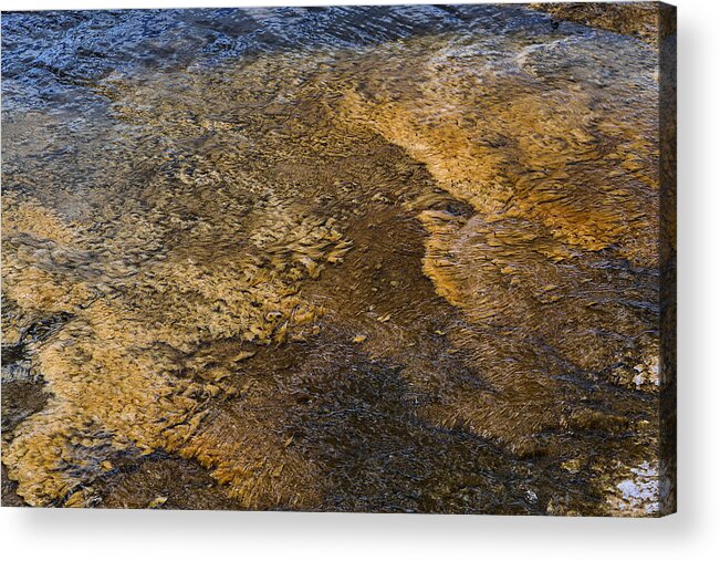 Water Acrylic Print featuring the photograph Harmony by Nadalyn Larsen