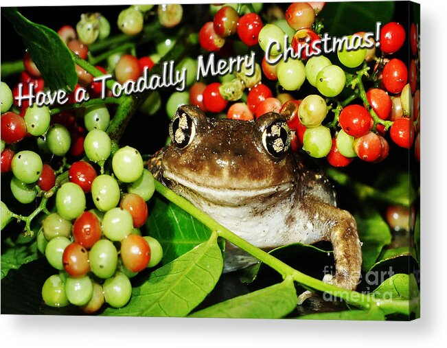 Toad Acrylic Print featuring the photograph Have a Toadally Merry Christmas by Lynda Dawson-Youngclaus