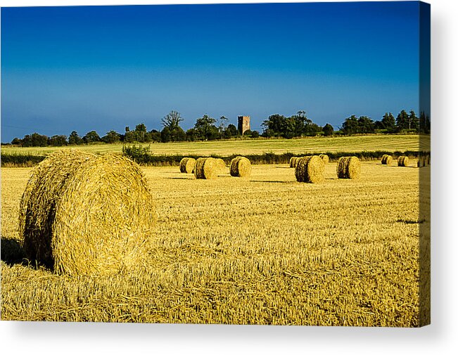 Bale Acrylic Print featuring the photograph Hay Bales by Mark Llewellyn