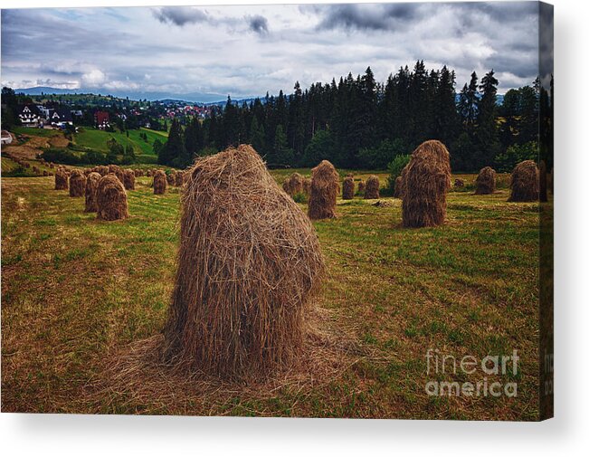 Agricultural Acrylic Print featuring the photograph Hay in stacks in Tatra mountains Poland by Frank Bach