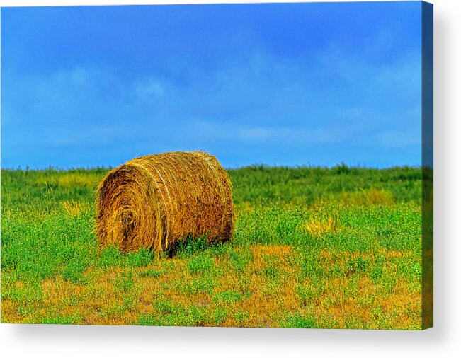 Hay Acrylic Print featuring the photograph Hay by Jim Boardman