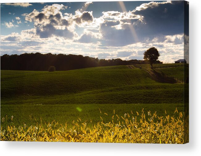 Landscape Acrylic Print featuring the photograph Heart of Nature by Everett Houser