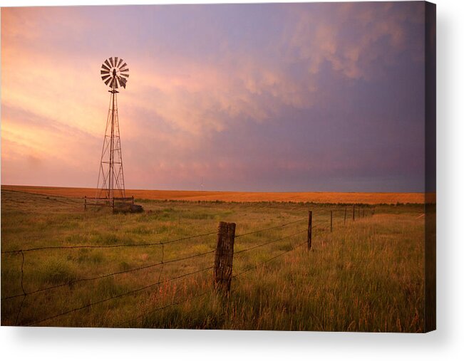 This Photo Just Speaks Kansas . Cattle Acrylic Print featuring the photograph Hello Kansas by Shirley Heier