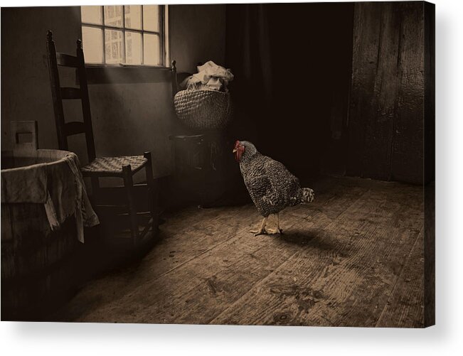Chicken.antiquity Acrylic Print featuring the photograph Trapped by Robin-Lee Vieira