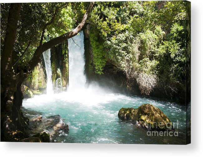 Hermon Acrylic Print featuring the photograph Hermon Stream Nature reserve-Banias by Amos Gal