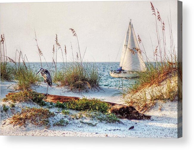 Alabama Acrylic Print featuring the photograph Heron and Sailboat Larger Sizes by Michael Thomas