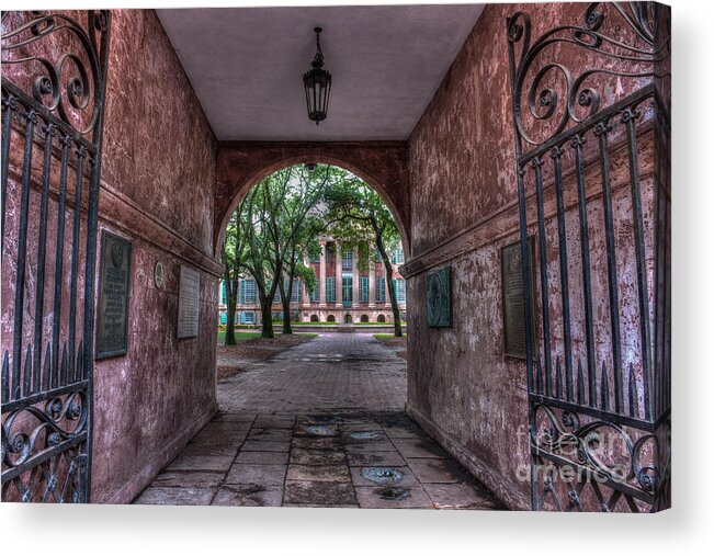 College Of Charleston Acrylic Print featuring the photograph Higher Education Tunnel by Dale Powell