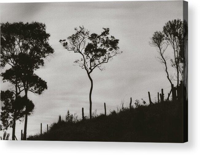 Hill Acrylic Print featuring the photograph Hill by Amarildo Correa