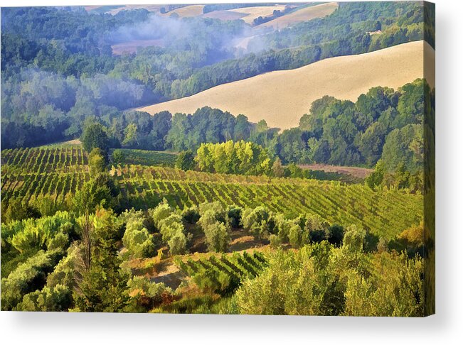 Tuscany Acrylic Print featuring the photograph Hills of Tuscany by David Letts