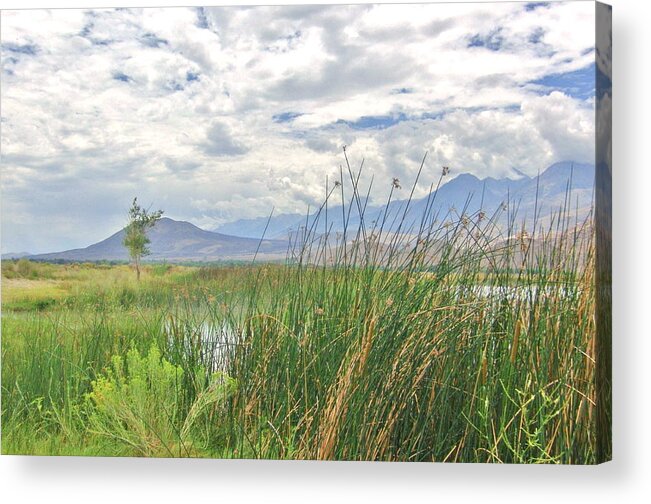 Clouds Acrylic Print featuring the photograph Hint Of Water by Marilyn Diaz