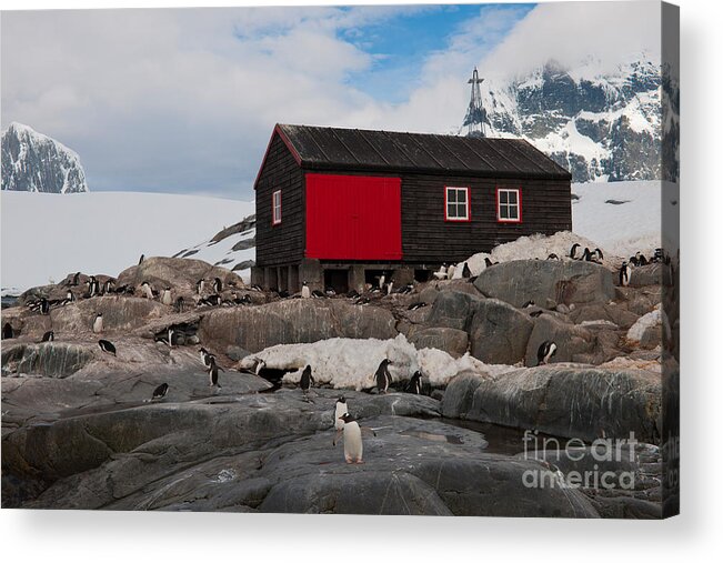 Antarctica Acrylic Print featuring the photograph Historic Antarctic Base by John Shaw