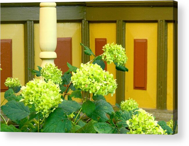 Restored Homes Acrylic Print featuring the photograph Historical Beauty by Randy Rosenberger