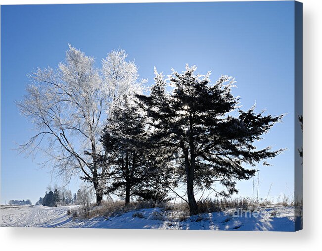 Photography Acrylic Print featuring the photograph Hoar Frost by Larry Ricker