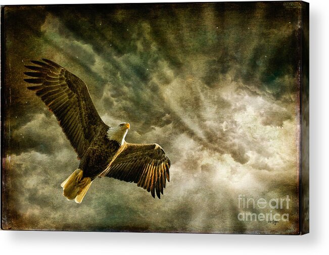 Eagle Acrylic Print featuring the photograph Honor Bound In Blue by Lois Bryan