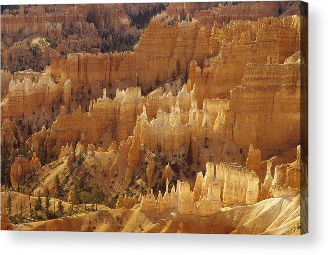 Feb0514 Acrylic Print featuring the photograph Hoodoos Bryce Canyon Utah by Gerry Ellis