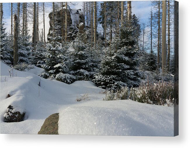 Nature Acrylic Print featuring the photograph Hopfensack, Harz by Andreas Levi