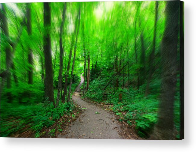 Woods Acrylic Print featuring the photograph Hopkins Path by Amanda Stadther