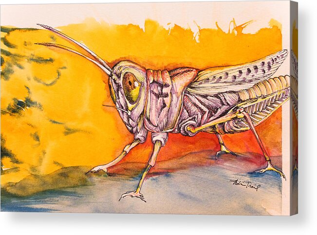Watercolor Acrylic Print featuring the painting Hopper by Adria Trail