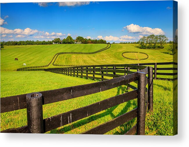 Farm Acrylic Print featuring the photograph Horse farm fences by Alexey Stiop