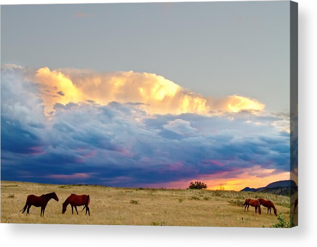 Horses Acrylic Print featuring the photograph Horses On The Storm by James BO Insogna