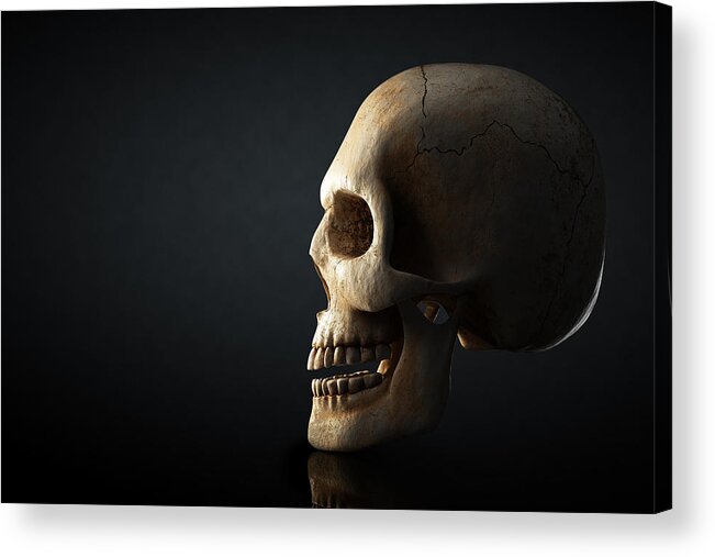Skull Acrylic Print featuring the photograph Human skull profile on dark background by Johan Swanepoel