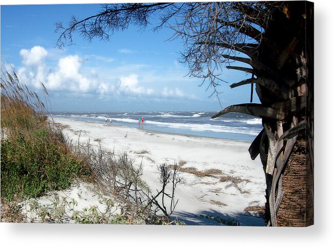 Island Acrylic Print featuring the photograph Hunting Island -8 by Ellen Tully