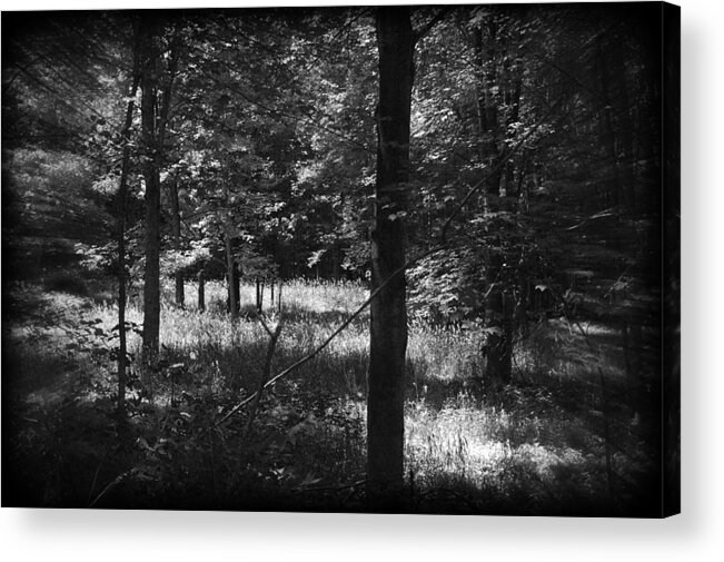 Woods Acrylic Print featuring the photograph Hunting... by Rhonda Barrett