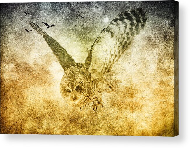 Great Grey Owl Acrylic Print featuring the photograph I shall return by Eti Reid