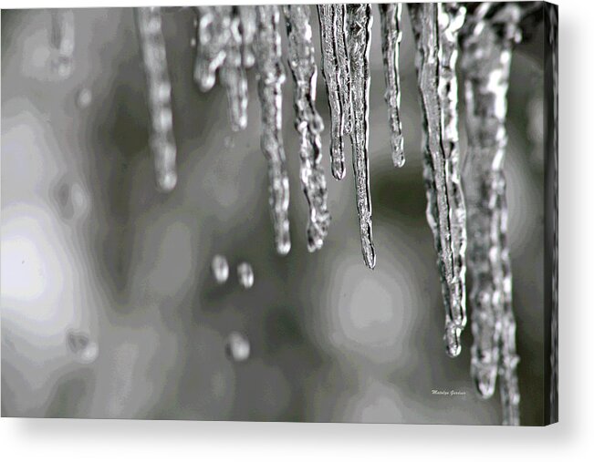  Acrylic Print featuring the photograph Icicles by Matalyn Gardner
