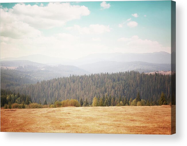 Scenics Acrylic Print featuring the photograph Idyllic Summer Countryside by Lechatnoir