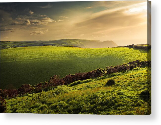 England Acrylic Print featuring the photograph Illuminated Evening Landscape North Devon by Dorit Fuhg