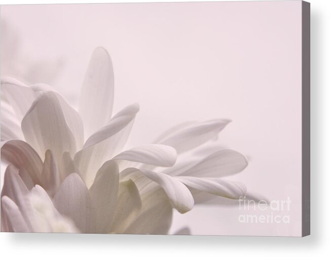 White Acrylic Print featuring the photograph Immobility by Aimelle Ml