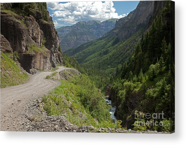 Colorado Acrylic Print featuring the photograph Imogene Pass Road near Imogene Basin by Fred Stearns