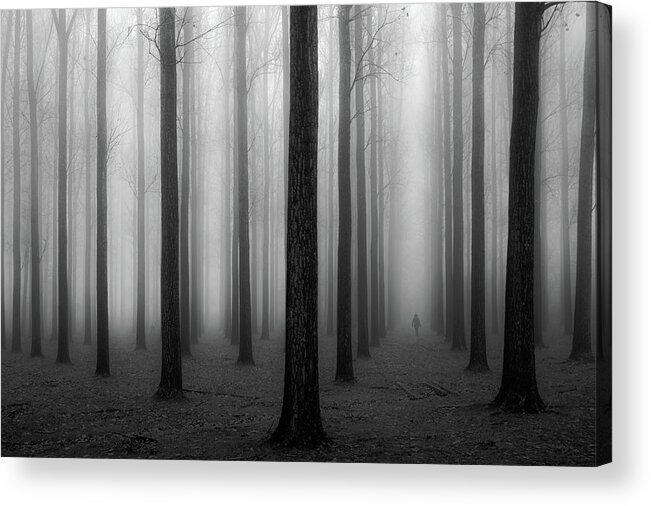 Landscape Acrylic Print featuring the photograph In A Fog by Jochen Bongaerts