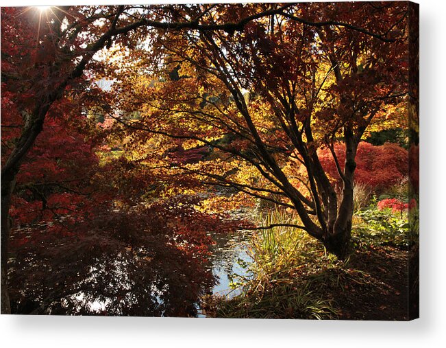Autumn Acrylic Print featuring the photograph The Direction Of Dreams by Connie Handscomb