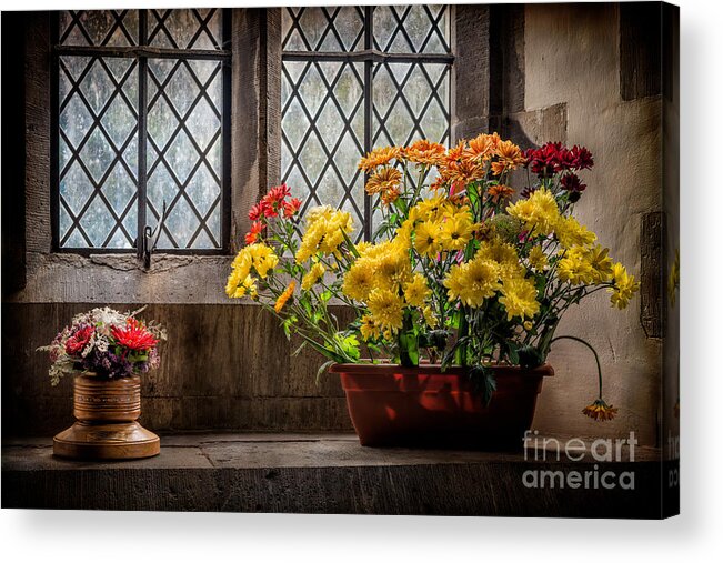 Trefnant Acrylic Print featuring the photograph In The Light by Adrian Evans