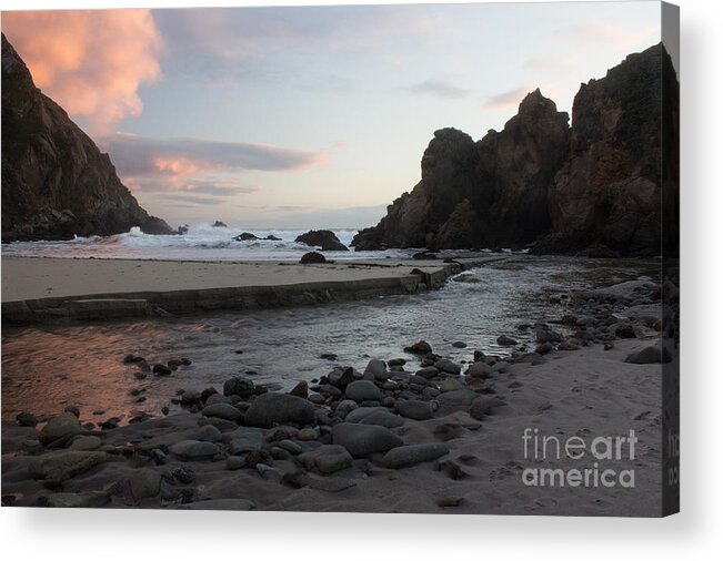Monterey Acrylic Print featuring the photograph In The Pink by Suzanne Luft