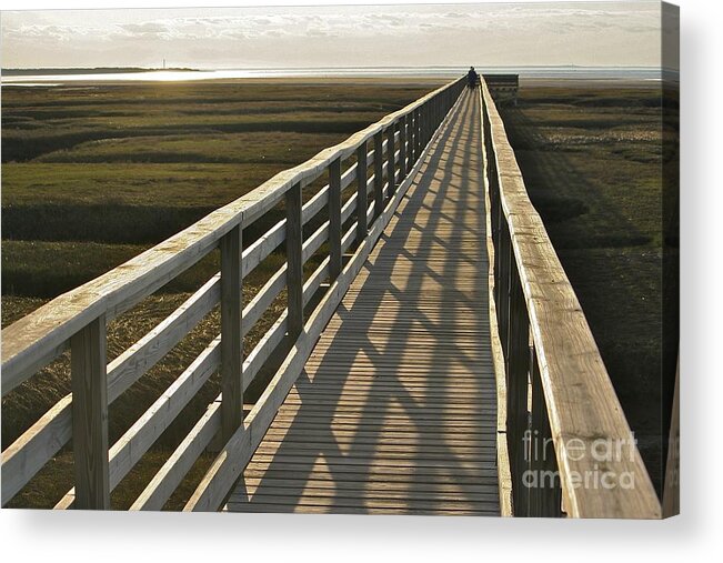 Shadows Acrylic Print featuring the photograph In the shadows by Jim Gillen
