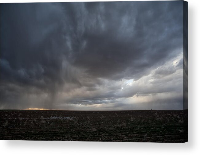 Agriculture Acrylic Print featuring the photograph Incoming Storm Over A Cotton Field by Melany Sarafis
