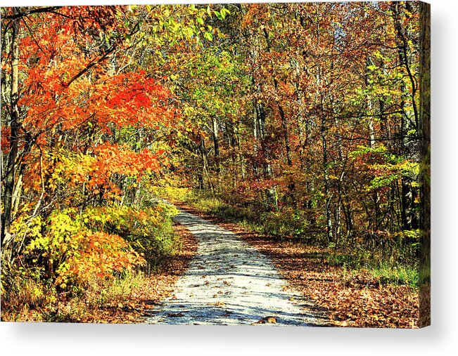 Autumn Acrylic Print featuring the photograph Indiana Back Road by Lorna Rose Marie Mills DBA Lorna Rogers Photography