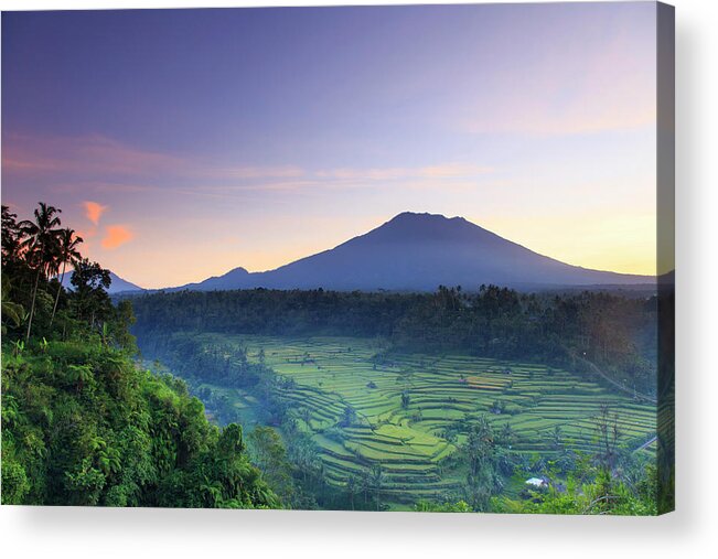 Scenics Acrylic Print featuring the photograph Indonesia, Bali, Rice Fields And by Michele Falzone