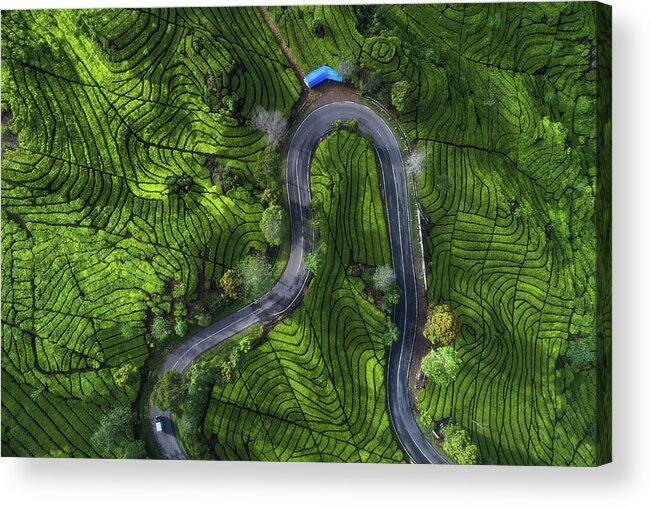 Indonesia Acrylic Print featuring the photograph Indonesia - Rancabali Tea Aerial by Jean Claude Castor