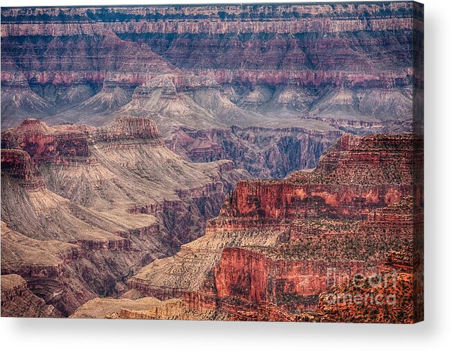  Grand Canyon Acrylic Print featuring the photograph Inside the Grand Canyon by James BO Insogna
