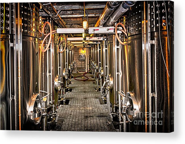 Wine Acrylic Print featuring the photograph Inside winery 2 by Elena Elisseeva