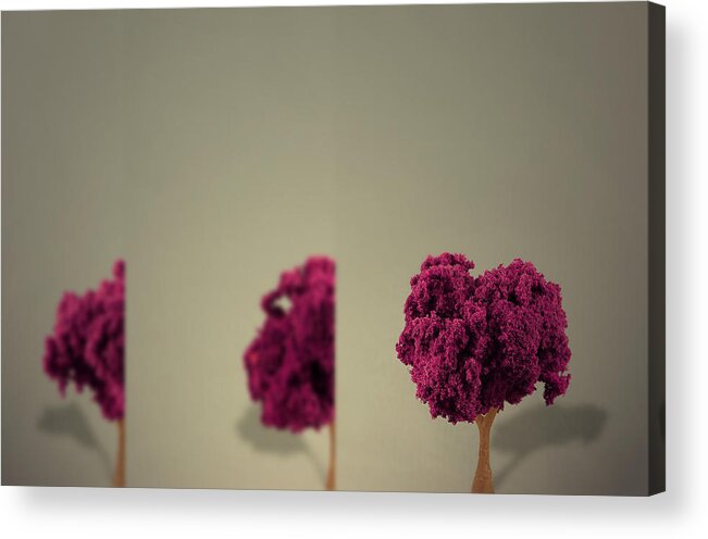 Tree Acrylic Print featuring the photograph Insight by Mark Ross