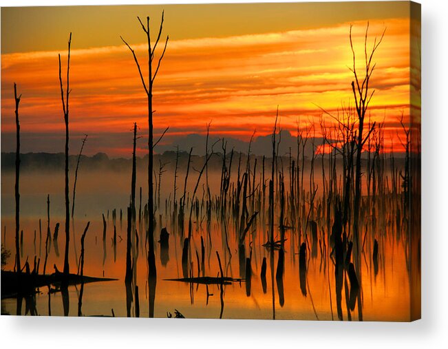 Intense - Gene Zonis Acrylic Print featuring the photograph Intense by Gene Zonis