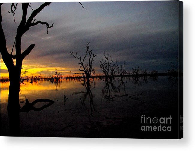 Into The Night Acrylic Print featuring the photograph Into the Night by Blair Stuart