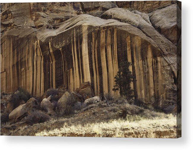 Boulder Rubble Acrylic Print featuring the photograph Iron Oxide Stains by Charlie Ott